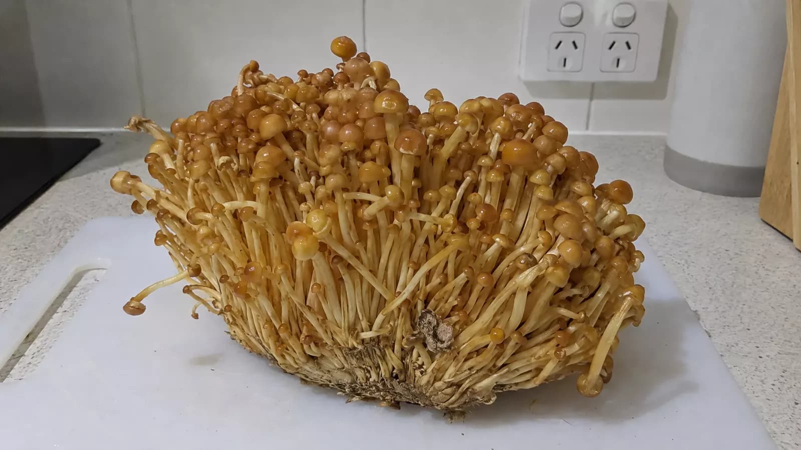 A dense bunch of golden enoki mushrooms with amber caps on a chopping board in a home kitchen