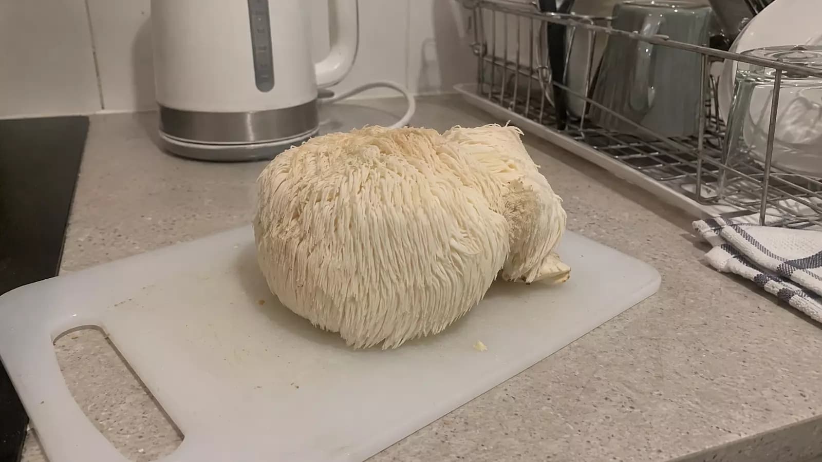 A whole lion's mane mushroom on a chopping board in a home kitchen