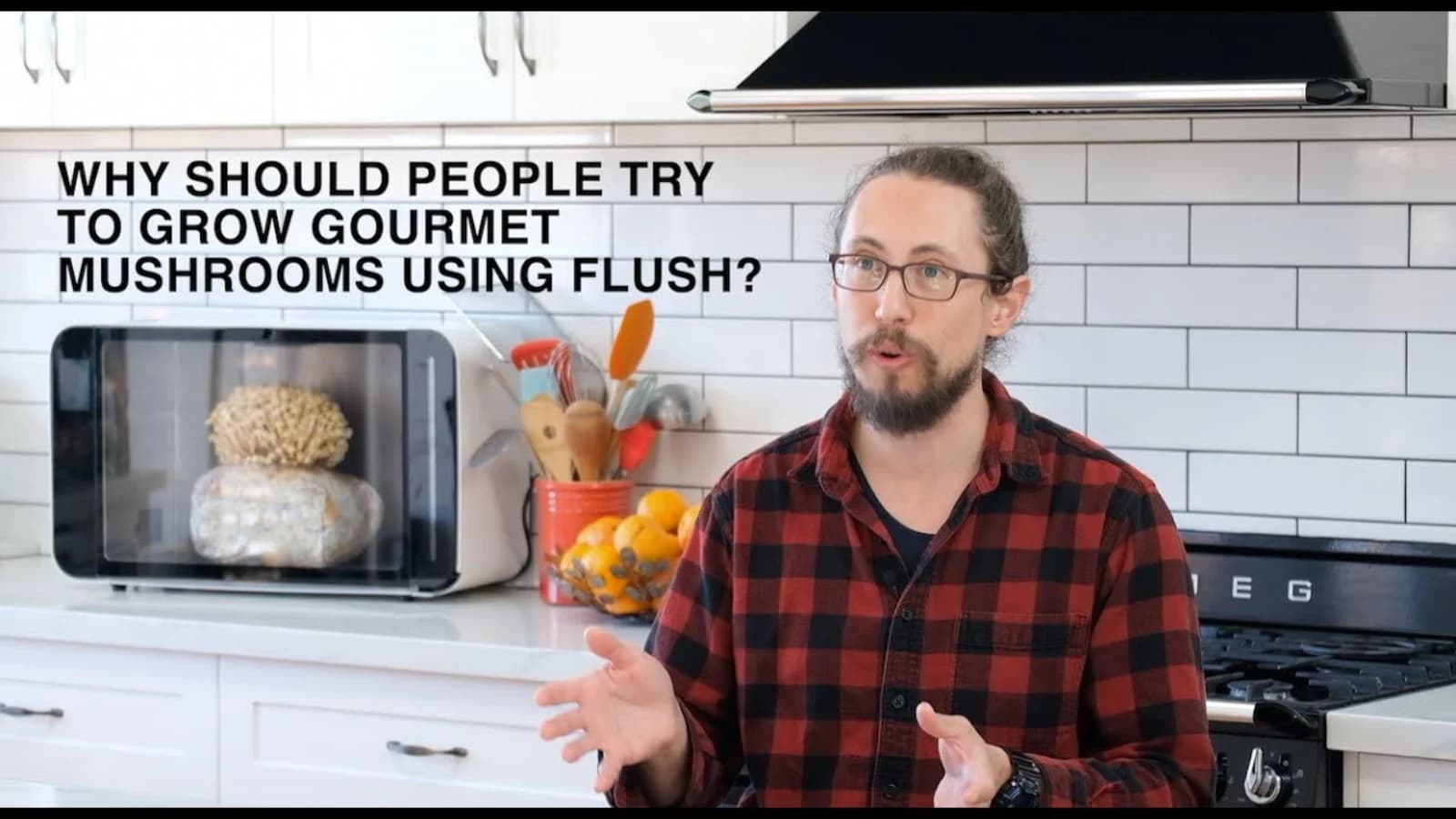 Mark Udovitch speaking about Flush