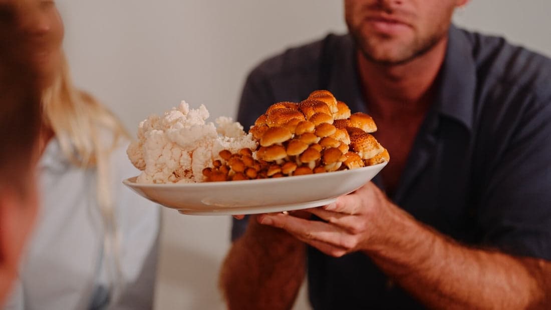 A generous plate of freshly harvested gourmet mushrooms