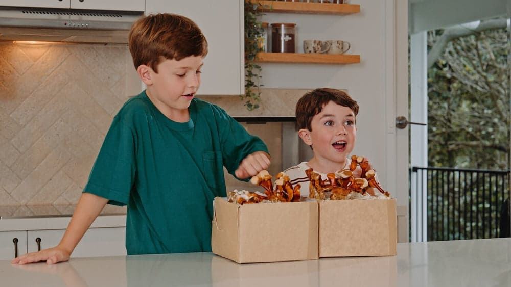 Kids delighted with a box of freshly harvested mushrooms