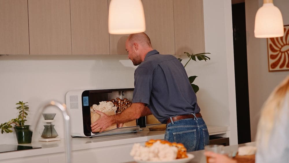 The Flush cabinet at home on a kitchen bench