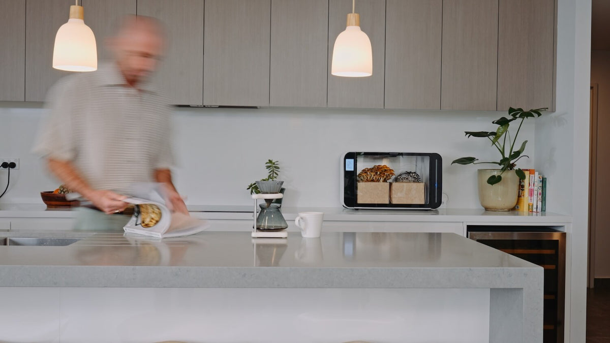 Flush Cabinet in environment