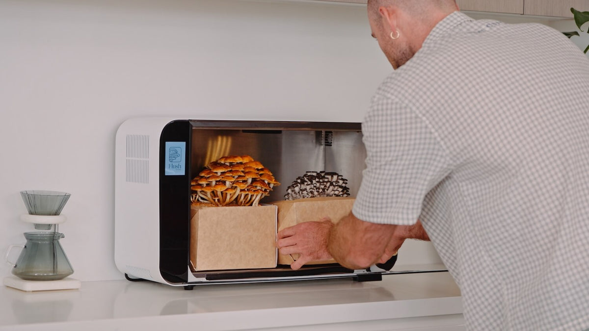 Flush Cabinet in environment