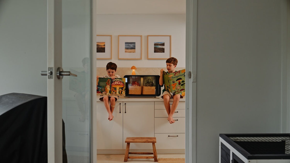 Flush Cabinet in environment