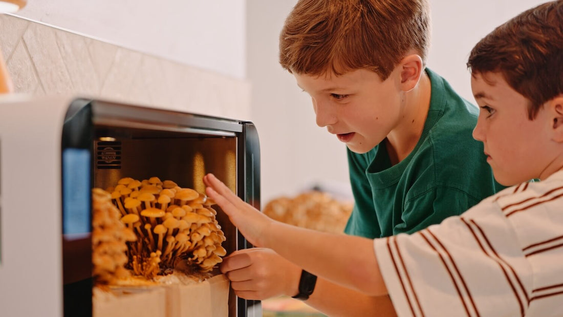 Two kids peering into the Flush cabinet, watching mushrooms grow