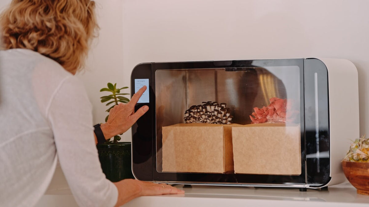 Flush Cabinet in environment