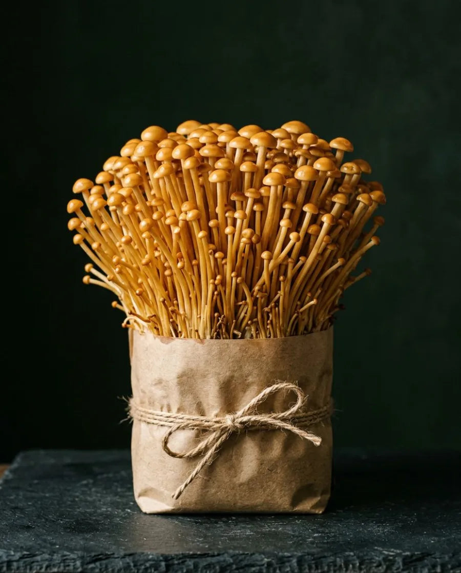 Golden Enoki mushrooms growing from a kraft substrate block